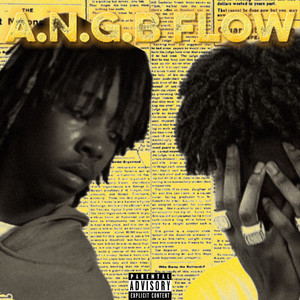 A.N.G.B Flow (Explicit)