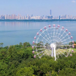 烟火武汉封面