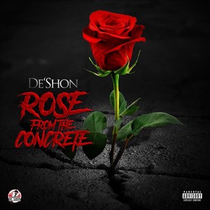 Rose from the Concrete (Explicit)