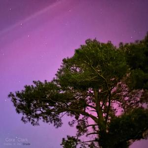 Cora Clark (feat. Kabir Datta)