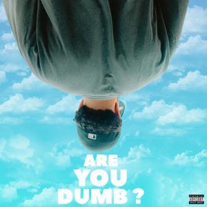 ARE YOU DUMB? (Explicit)