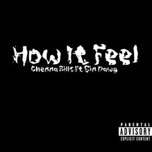 How It Feels (feat. Sid Dawg) [Explicit]