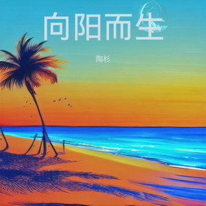 向阳而生