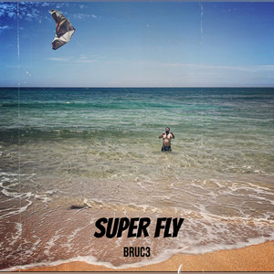 Super Fly (Explicit)