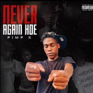 Never Again Hoe (Explicit)