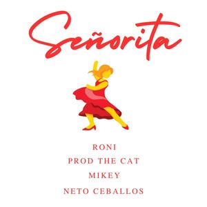 Señorita (Explicit)