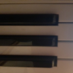 Electric desire (Explicit)