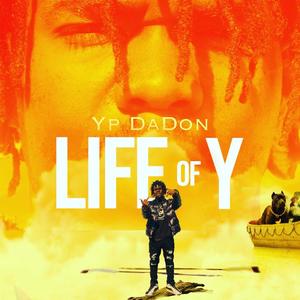 Life Of Y (Explicit)