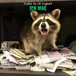 ich mag (feat. Lil Yoghurt) (Explicit)