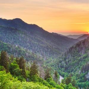 If These Hills Could Sing (feat. Dave Bond & Brandon Fox)