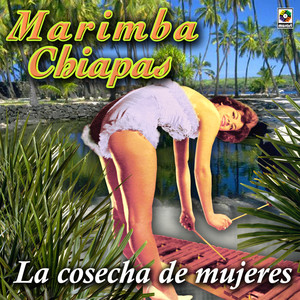 Cachito