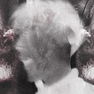 TALENT (Explicit)