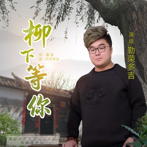 柳下等你 (伴奏)