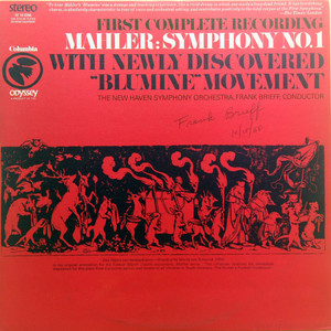 Sturmisch bewegt (黑胶版)