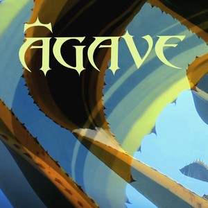 Olaya - Ágave (Explicit)
