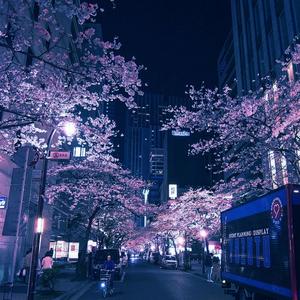 Tokyo Lights (Explicit)