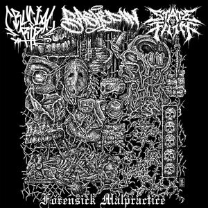 Forensick Malpractice (Explicit)