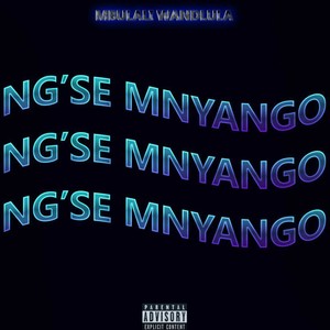 Ng'se Mnyango (Explicit)