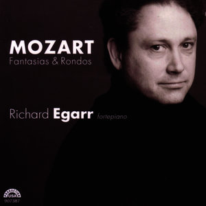 Fantasie in D Minor - K.397
