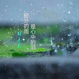 窗外的雨是心中的泪