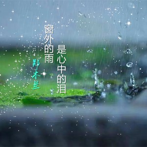 窗外的雨是心中的泪