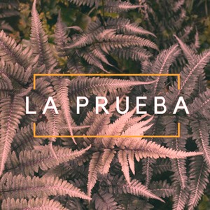 La Prueba