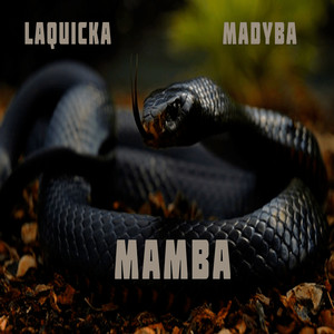 Mamba (Explicit)