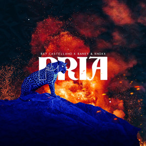 PRIA (Original Mix)