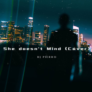 She Doesn't Mind (Radio Edit)
