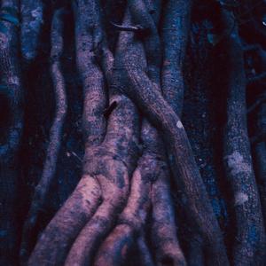 MISS (feat. Godwin. & Vinyltru) (Explicit)