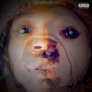 Lost Dogs(feat. Number5ive & Vavu) (Explicit)