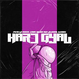 Hard Gyal (Explicit)