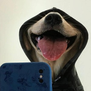 阿拉斯加海湾 (Live)