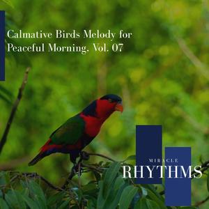 Calmative Birds Melody For Peaceful Morning, Vol. 07