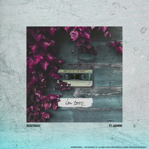 미안해 (I'm sorry)