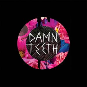 Damn Teeth (Explicit)