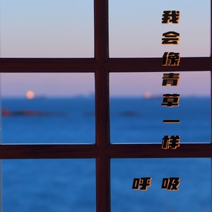 我会像青草一样呼吸伴奏