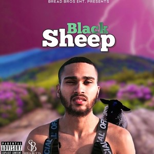 BLACK SHEEP