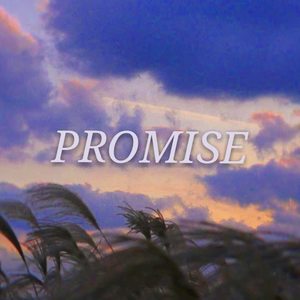 promise