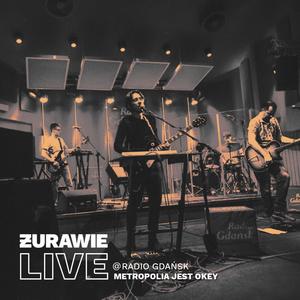 Wnętrzności (feat. Michał Miegoń) (Live)