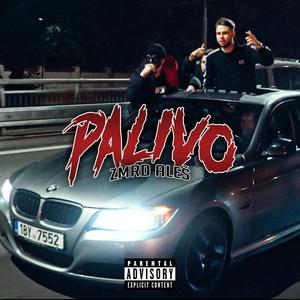 PALIVO (Explicit)