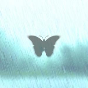 this moment is a universe