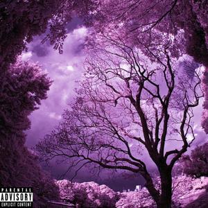 PURPLE SKY (Explicit)