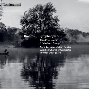 Ellens Gesang II, Anh. 1a/17 (After Schubert's Op. 52, No. 2, D. 838) (Version for Voice & Orchestra)