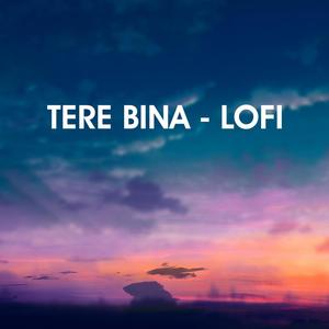 Tere Bina (LoFi)