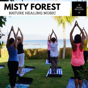 Misty Forest - Nature Healing Music