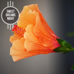 Meditation Piano Time