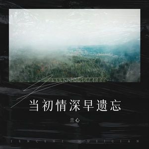 当初情深早遗忘 (伴奏)