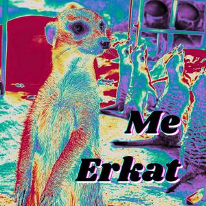 Me,Erkat (feat. Luis Reyes, Talli Kamani, Tyler White & Grady O'Connor)