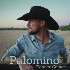 Palomino